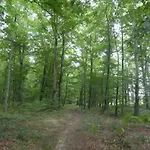 De La Motte 別荘 *