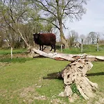 De La Motte