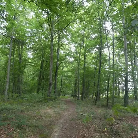 De La Motte Tatil Evi *