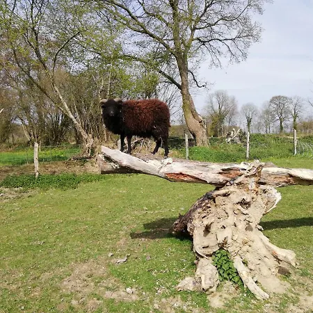 De La Motte