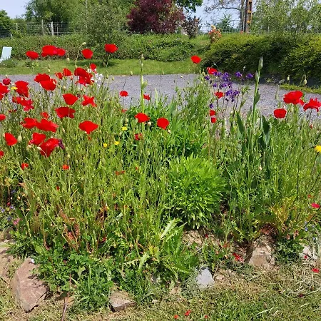 Tatil Evi De La Motte *