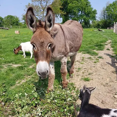 De La Motte Tatil Evi *