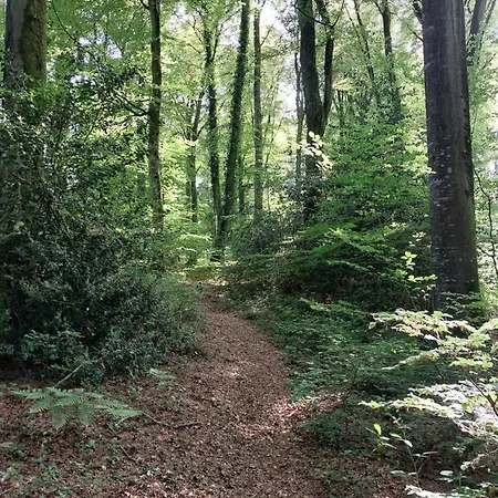De La Motte 別荘