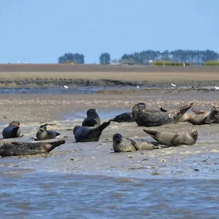 De La Motte Tatil Evi *