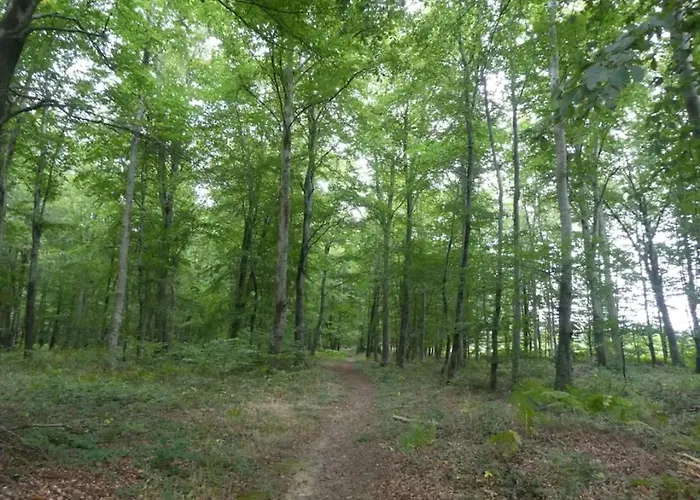 De La Motte Hébergement de vacances *