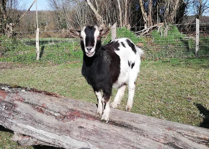 De La Motte Casa de Férias *