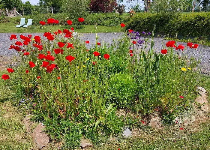 Casa de Férias De La Motte *