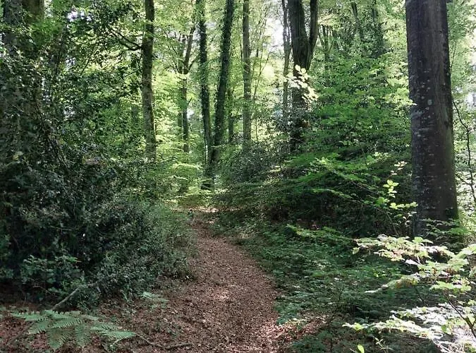 De La Motte Hébergement de vacances