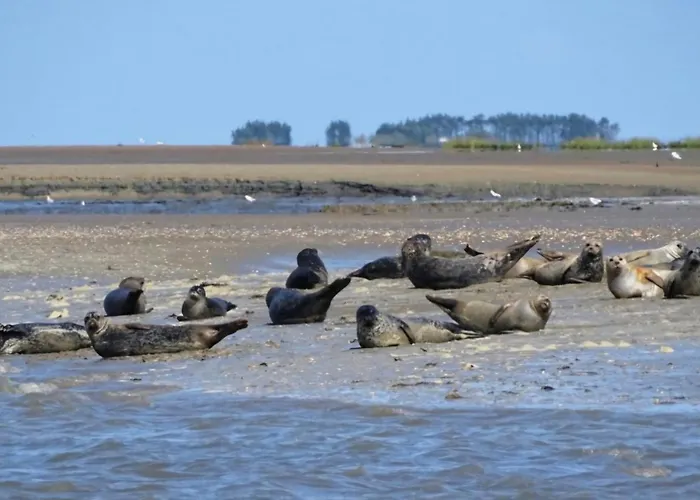 De La Motte Casa de Férias *