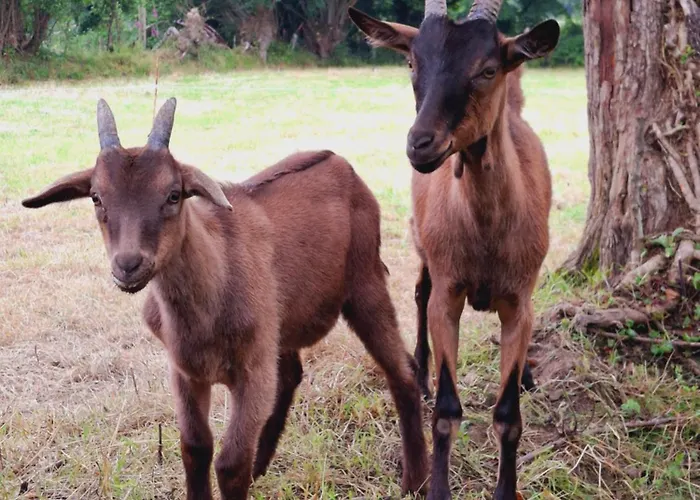 De La Motte Hébergement de vacances *